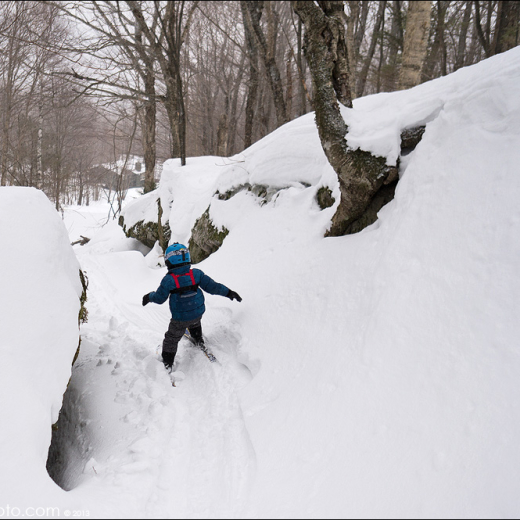 Pico father and son trip 2014!