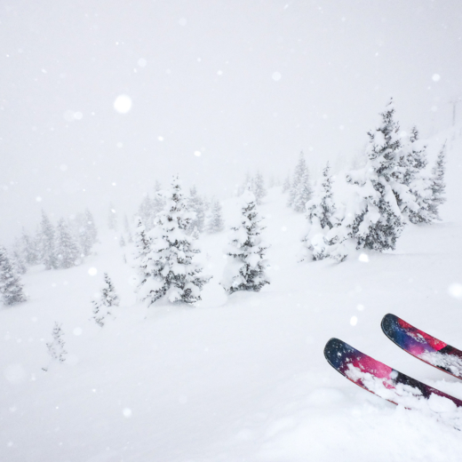 January 2025 Ski PAD